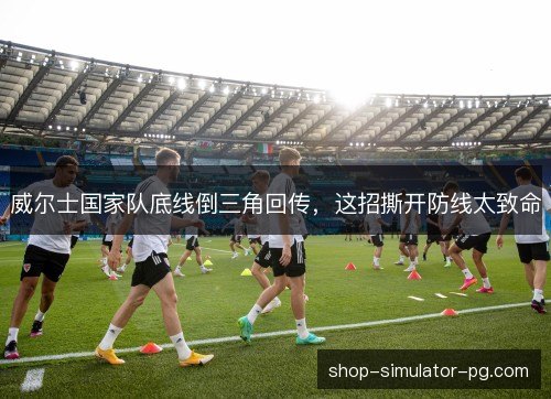 威尔士国家队底线倒三角回传,这招撕开防线太致命 威尔士国家队底线倒三角回传,这招撕开防线太致命