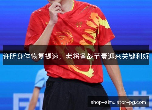 许昕身体恢复提速，老将备战节奏迎来关键利好